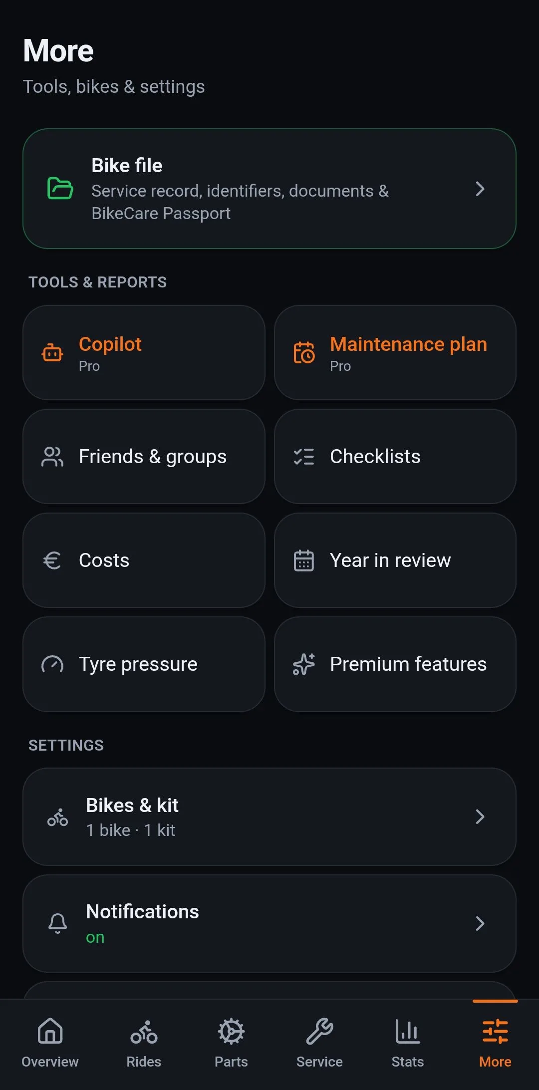 The More tab: copilot, maintenance plan, groups, checklists, costs, year in review, tyre pressure