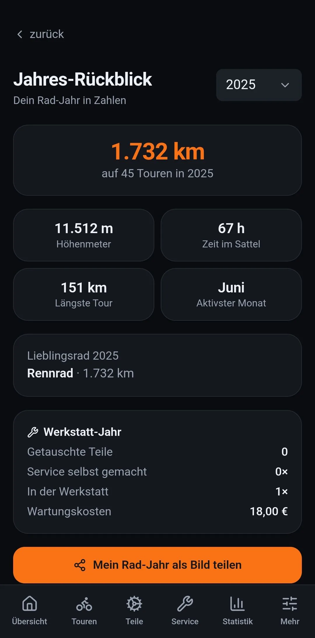 Der Jahres-Rückblick: Kilometer, Höhenmeter, längste Tour, aktivster Monat und das Werkstatt-Jahr